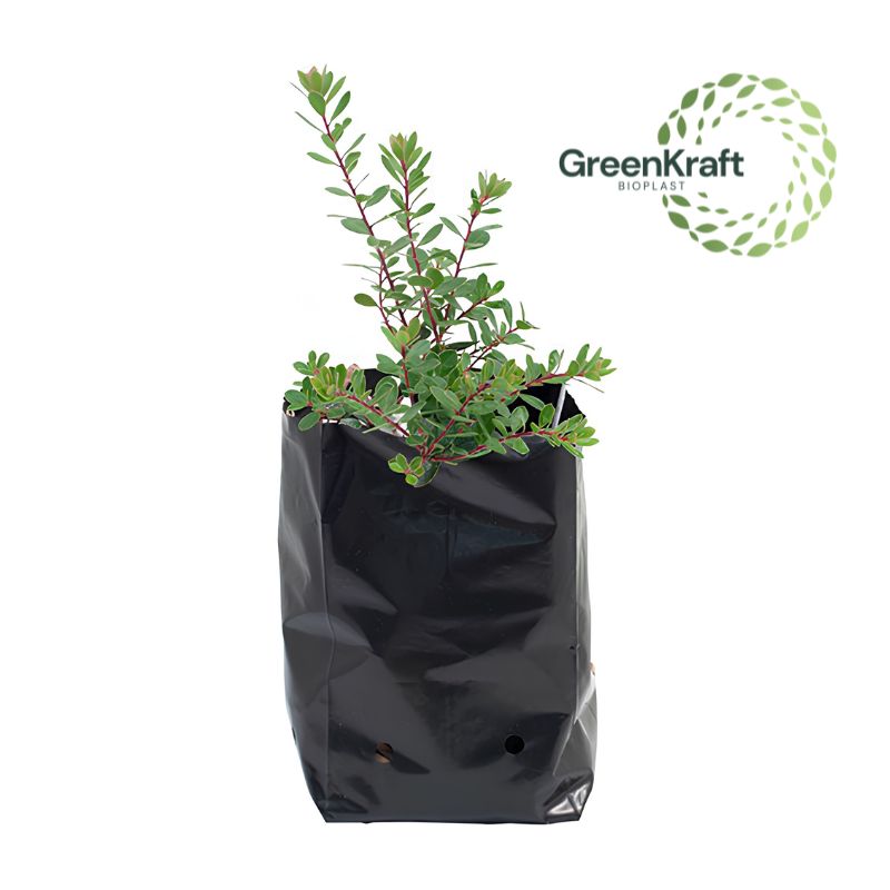 Nursery Bags
